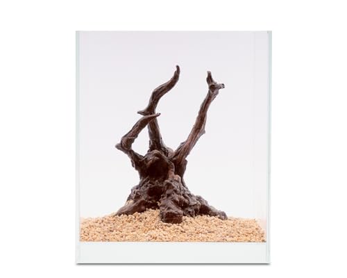 NatureHolic Ready to Scape Jungle Tree | Aquarium Deko Baum für Nano Aquarien | 100% Polyresin | Für Becken ab 20 cm | Detailreicher Urwaldbaum zum Bepflanzen | 16x20x10 cm von NatureHolic
