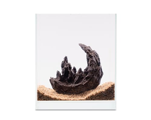 NatureHolic Ready to Scape Moon Rock | Aquarium Deko Stein für Aquascaping | 1-teiliges Hardscape-Element | Für Becken ab 30 cm | Poröse Oberfläche zum Bepflanzen | 20 x 20 x 10 cm von NatureHolic