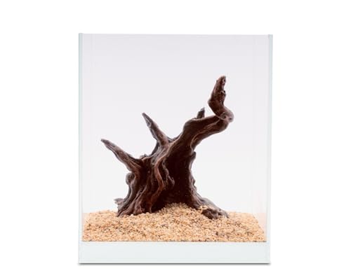 NatureHolic Ready to Scape Mystical Tree | Aquarium Deko Baum aus Kunstharz | Wasserneutral und zum Bepflanzen | Natürliches Dekoration für Aquarien | Ideal für Nano Aquarium ab 20cm NatureHolic Ready to Scape Mystical Tree | Aquarium Deko Baum aus Kunstharz | Wasserneutral und zum Bepflanzen | Natürliches Dekoration für Aquarien | Ideal für Nano Aquarium ab 20cm von NatureHolic