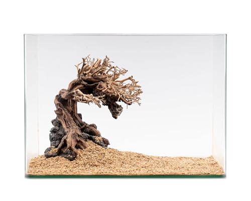 NatureHolic Ready to Scape Thousand Branch Tree | Aquarium Deko Baum mit feiner Verästelung | Für Aquarien Becken ab 30 cm | Ideal zum Bepflanzen mit Moos | 25 x 30 x 20 cm von NatureHolic
