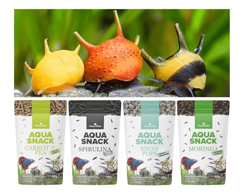 NatureHolic Schneckenfutter Snackbundle | Natürliche Futtersticks für Aquarienschnecken im Aquarium | Gesunde Ernährung & Gehäusewachstum | Zusatzfutter für Schnecken im Aquarium NatureHolic Schneckenfutter Snackbundle | Natürliche Futtersticks für Aquarienschnecken im Aquarium | Gesunde Ernährung & Gehäusewachstum | Zusatzfutter für Schnecken im Aquarium von NatureHolic