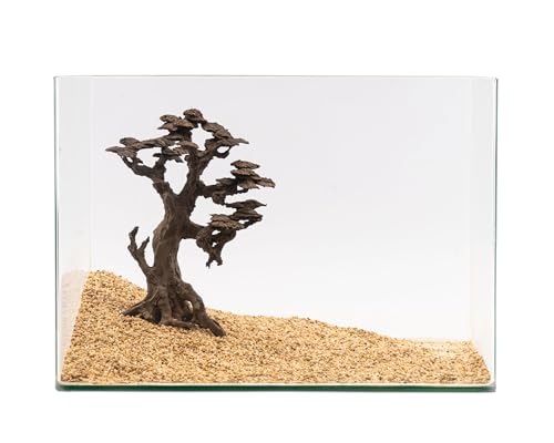 NatureHolic Stone Bonsai Hoshizora no Ki | Aquarium Deko | Premium Scape für Aquarien | Mittelgroßer Bonsai-Baum aus Stein | Perfekt für Moos | Ideal für Aquarium 30-60 L | 23 x 30 x 12 cm von NatureHolic