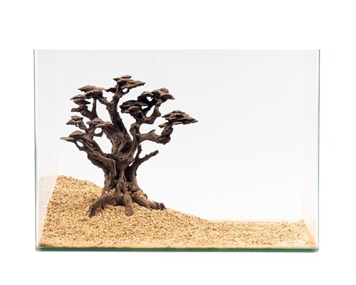 NatureHolic Stone Bonsai Mugen | Aquarium Deko Baum aus Kunstharz | Wasserneutral & zum bepflanzen | Natürliche & detailreiche Dekoration für Aquarien | Ideal für Aquarien ab 45 cm NatureHolic Stone Bonsai Mugen | Aquarium Deko Baum aus Kunstharz | Wasserneutral & zum bepflanzen | Natürliche & detailreiche Dekoration für Aquarien | Ideal für Aquarien ab 45 cm von NatureHolic