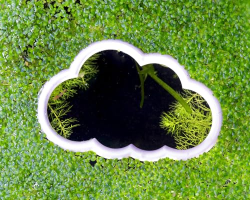 Pflanzenschwimm Portal Cloud | Schwimmpflanzenring für Aquarium Pflanzen | Futterring für Fische | Schwimmender Fütterungsring | Größe: L von NatureHolic