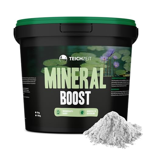 NatureHolic Teichzeit Mineral Boost | Pflege für Fischteich und Gartenteich | Sorgt für natürliches & biotopgerechtes Gleichgewicht im Teichwasser | 1kg von NatureHolic