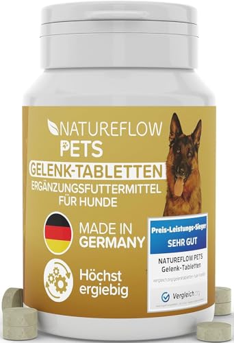 Gelenktabletten Hunde – Test SEHR GUT Made in Germany mit Grünlippmuschel, MSM und Teufelskralle - Keine Kapseln, hohe Akzeptanz Gelenktabletten Hund - 100 Stück von NATUREFLOW