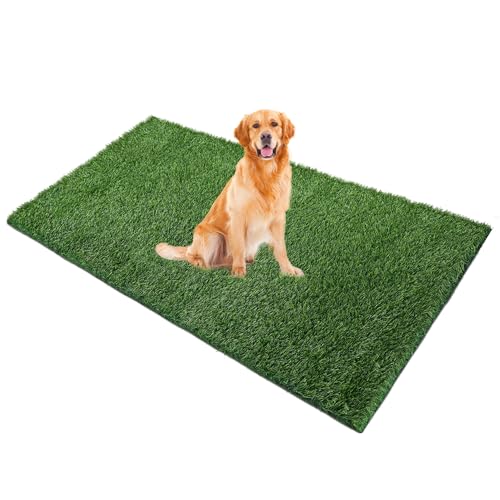 Naturei Grasmatte für Hunde, 152,4 x 76,2 cm, Kunstrasen für Haustier-Töpfchentraining, Kunstrasenmatte mit Drainagelöchern, leicht zu reinigen, großer Rasenteppich für den Innen- und Außenbereich Naturei Grasmatte für Hunde, 152,4 x 76,2 cm, Kunstrasen für Haustier-Töpfchentraining, Kunstrasenmatte mit Drainagelöchern, leicht zu reinigen, großer Rasenteppich für den Innen- und Außenbereich von Naturei