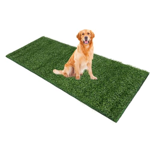 Naturei Grasmatte für Hunde, 182,9 x 76,2 cm, Kunstrasen für Haustier-Töpfchentraining, Kunstrasenmatte mit Drainagelöchern, leicht zu reinigen, großer Rasenteppich für den Innen- und Außenbereich Naturei Grasmatte für Hunde, 182,9 x 76,2 cm, Kunstrasen für Haustier-Töpfchentraining, Kunstrasenmatte mit Drainagelöchern, leicht zu reinigen, großer Rasenteppich für den Innen- und Außenbereich von Naturei
