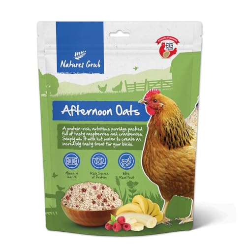 Natures Grub Afternoon Oats 600g - Banane & Berry | 100% natürliches Futtersucht-Leckerli für Hühner & Geflügel, Anreicherung für Hühner, Langeweile, reich an Protein Natures Grub Afternoon Oats 600g - Banane & Berry | 100% natürliches Futtersucht-Leckerli für Hühner & Geflügel, Anreicherung für Hühner, Langeweile, reich an Protein von Natures Grub
