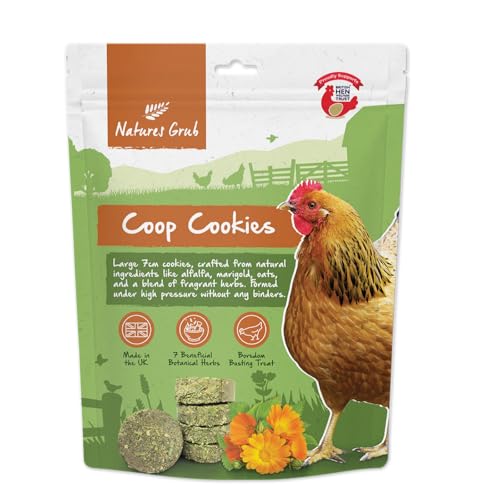 Natures Grub Coop Cookies 700 g | 100% natürliche Leckereien für Hühner & Geflügel, Langeweile Busting Anreicherung Leckerli für Hühner, gesundes Futter, hergestellt in Großbritannien (700g) von Natures Grub