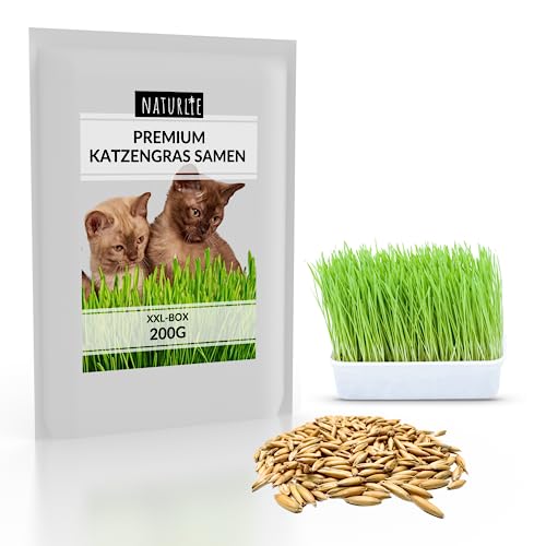 Naturlie XXL 200g Premium Katzengras Samen Set: Saatgut für 80 Töpfe fertiges Katzengras - Saatgut für eine sanfte/weiche Katzenwiese - Premium Saatgut für Deine Katze von Naturlie