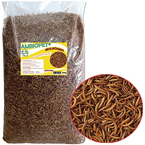 Getrocknete Mehlwürmer 500 Gramm Futter für Vögel, Fische, Nager, Reptilien und Igel von Naturprodukt