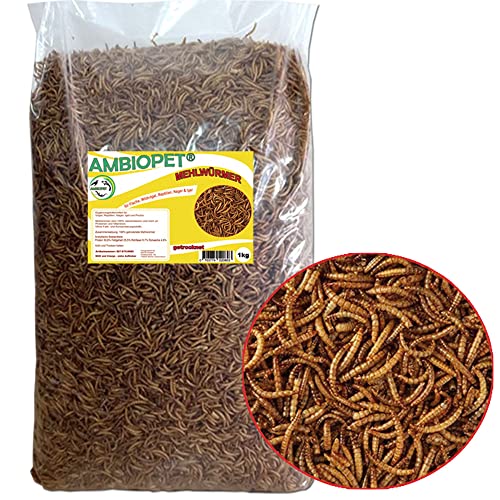 Naturprodukt Getrocknete Mehlwürmer 1kg - Futter für Vögel, Teichfische, Reptilien, Koi und Igel von Naturprodukt