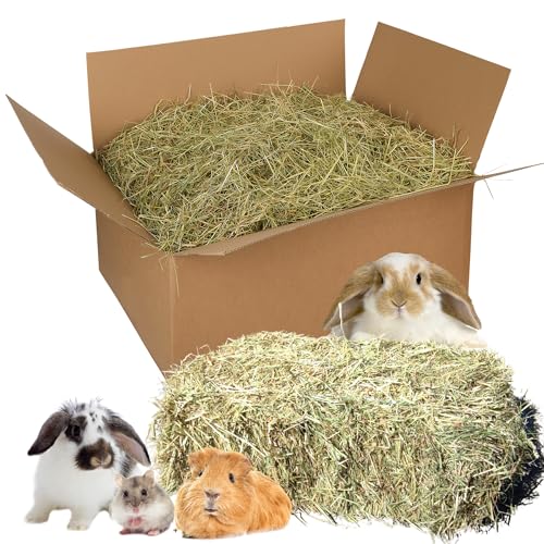 Natursache I frisches Heu aus Bioanbau - Gesunde Nahrung & Einstreu für Kaninchen, Meerschweinchen & Nager. Staubarm. Ideal für die Heuraufe (8-10 kg) von Natursache