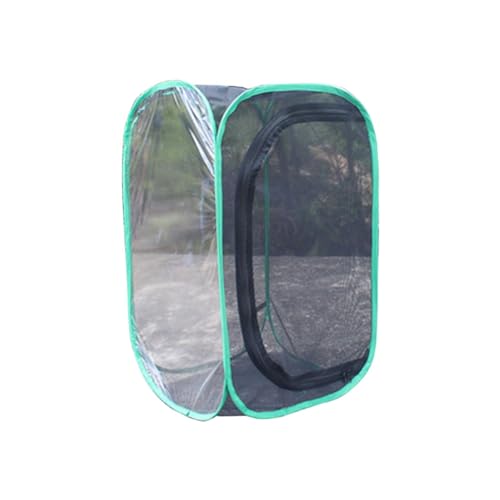 Naugan Terrarium für Insekten und Schmetterlinge, 50 cm hoch, Pflanzenkasten, C von Naugan