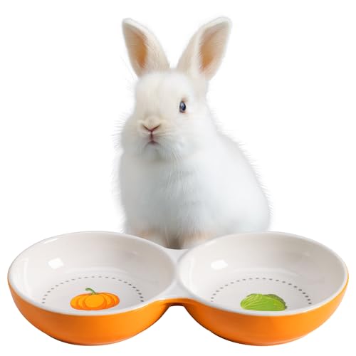 Navaris 2X Fressnapf für Kätzchen Meerschweinchen Hasen - Doppelter Futternapf kleine Katze Keramik - Fressnäpfe für kleine Tiere - Hamster Futternapf Keramik - Kleintier Napf Navaris 2X Fressnapf für Kätzchen Meerschweinchen Hasen - Doppelter Futternapf kleine Katze Keramik - Fressnäpfe für kleine Tiere - Hamster Futternapf Keramik - Kleintier Napf von Navaris