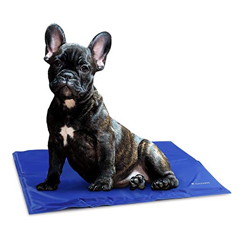 Navaris Kühlmatte Hund Kühldecke Katzen - Abkühlung Kühlmittel für Tiere - Gelmatte für Bett oder Auto - Regulierung der Körpertemperatur - Selbstkühlende Matte 40x50cm Navaris Kühlmatte Hund Kühldecke Katzen - Abkühlung Kühlmittel für Tiere - Gelmatte für Bett oder Auto - Regulierung der Körpertemperatur - Selbstkühlende Matte 40x50cm von Navaris
