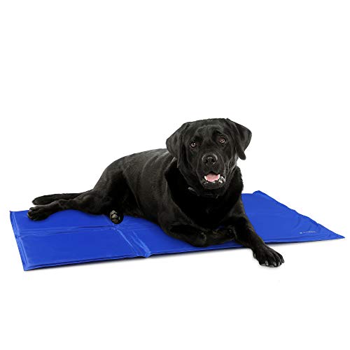 Navaris Kühlmatte Hund Kühldecke Katzen - Abkühlung Kühlmittel für Tiere - Gelmatte für Bett oder Auto - Regulierung der Körpertemperatur - Selbstkühlende Matte 50x90cm Navaris Kühlmatte Hund Kühldecke Katzen - Abkühlung Kühlmittel für Tiere - Gelmatte für Bett oder Auto - Regulierung der Körpertemperatur - Selbstkühlende Matte 50x90cm von Navaris
