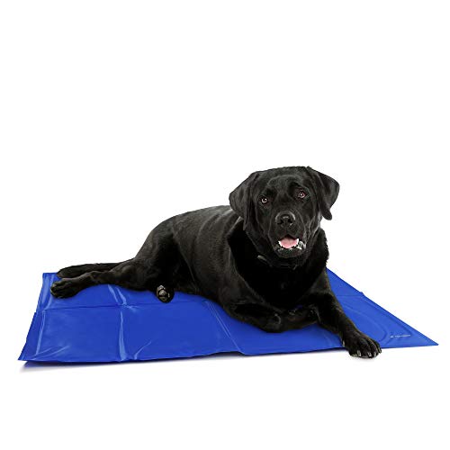 Navaris Kühlmatte Hund Kühldecke Katzen - Abkühlung Kühlmittel für Tiere - Gelmatte für Bett oder Auto - Regulierung der Körpertemperatur - Selbstkühlende Matte 81x96cm Navaris Kühlmatte Hund Kühldecke Katzen - Abkühlung Kühlmittel für Tiere - Gelmatte für Bett oder Auto - Regulierung der Körpertemperatur - Selbstkühlende Matte 81x96cm von Navaris