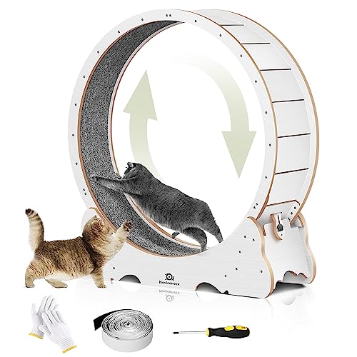 Naviconvex Laufband für Katzen, Laufrad für Indoor-Katzen, tägliche Übung, Katzenrad, Trainingsgerät für Katzen Naviconvex Laufband für Katzen, Laufrad für Indoor-Katzen, tägliche Übung, Katzenrad, Trainingsgerät für Katzen von Naviconvex