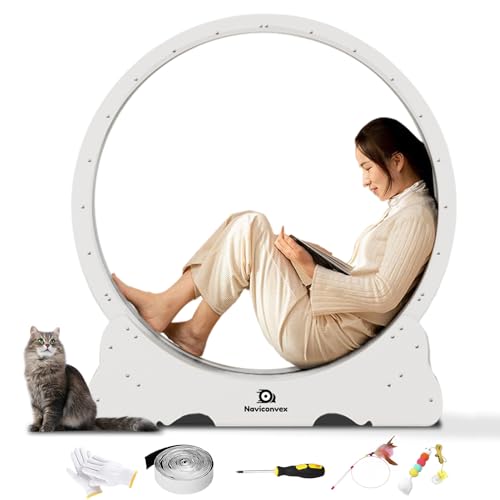 Naviconvex katzenlaufrad Übergroßes Katzenrad laufrad Katze Laufen super leise Katzen laufrad laufrad für Katzen laufrad Katze katzenrad Laufrad Katze elfenbeinweiß Naviconvex katzenlaufrad Übergroßes Katzenrad laufrad Katze Laufen super leise Katzen laufrad laufrad für Katzen laufrad Katze katzenrad Laufrad Katze elfenbeinweiß von Naviconvex