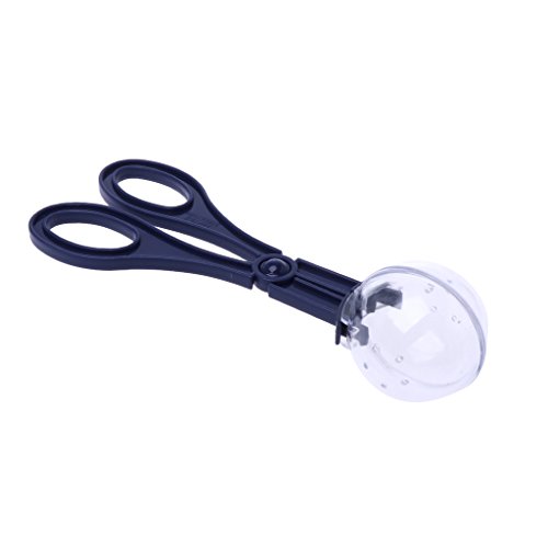 Amphibien-Futterstreu Kot-Klemme Clip Werkzeug Pers Haustier für Hunde Haustier für Hunde Geräuscharm Haustier für Hunde Andisfeeding Streu Amphibien-Futterstreu Kot-Klemme Clip Werkzeug Pers Haustier für Hunde Haustier für Hunde Geräuscharm Haustier für Hunde Andisfeeding Streu von Navna