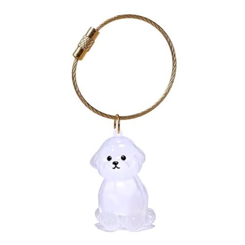 Navna Haustier-Schlüsselanhänger für Hundehaare oder Einäscherung von Asche, in robuster Box, Schlüsselanhänger, sentimentales Haustiergeschenk von Navna