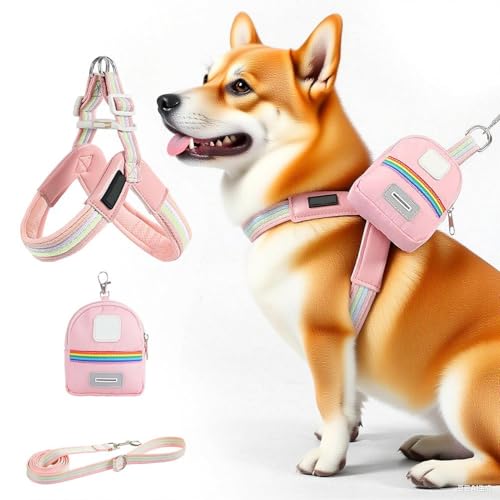 Nbbwwu Hundegeschirr Mit Führleine,Verstellbares Haustier Brustgeschirr Hundegurt - Sicherheitsausrüstung Tierzubehör Mit Tasche Für Stadt Park Camping Wandern von Nbbwwu