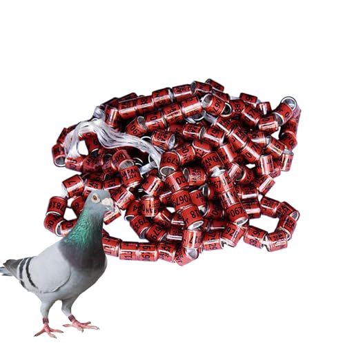 Vogelbeinbänder 2025,2025 Taubenbeinringe, Ringe Zur Identifizierung Von Tauben, Sichere Taubenringe,Pigeon Supplies Bänder, Vogelfußringe, Pegeon-Zubehör Für Rennpapageien, Küken, Enten Aibyks Vogelbeinbänder 2025,2025 Taubenbeinringe, Ringe Zur Identifizierung Von Tauben, Sichere Taubenringe,Pigeon Supplies Bänder, Vogelfußringe, Pegeon-Zubehör Für Rennpapageien, Küken, Enten Aibyks von Nbbwwu
