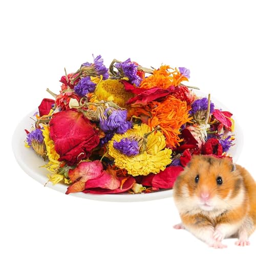 Bettwäsche für Kleintiere, Hamsterkäfig, Bettwäsche mit natürlichen weichen getrockneten Blumen | Lebensraumdekoration mit Gehege zur Kontrolle der Kontrolle Bettwäsche für Kleintiere, Hamsterkäfig, Bettwäsche mit natürlichen weichen getrockneten Blumen | Lebensraumdekoration mit Gehege zur Kontrolle der Kontrolle von Nbhuiakl