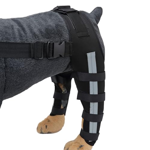 Nbhuiakl Rücken- und Beinbandage für Hunde, Rückenstütze für Knie- und Hüftgelenkpflege, Haustier-Knieschützer, atmungsaktiv, für Hunde, Hunde, Kniebandage für kleine, mittelgroße Hunde, gerissene Acl Nbhuiakl Rücken- und Beinbandage für Hunde, Rückenstütze für Knie- und Hüftgelenkpflege, Haustier-Knieschützer, atmungsaktiv, für Hunde, Hunde, Kniebandage für kleine, mittelgroße Hunde, gerissene Acl von Nbhuiakl