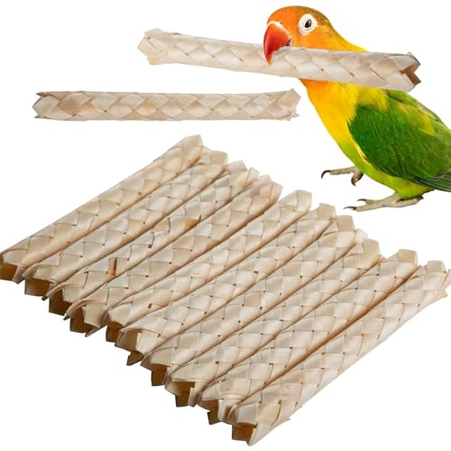 Vogelspielzeug, Spielzeug für Papageien, Kauspielzeug für Vögel | Kausticks für Papageien, Käfigspielzeug – Spielzeug für Papageien, Kauspielzeug für Nymphensittiche, mittelgroße Sittiche Vogelspielzeug, Spielzeug für Papageien, Kauspielzeug für Vögel | Kausticks für Papageien, Käfigspielzeug – Spielzeug für Papageien, Kauspielzeug für Nymphensittiche, mittelgroße Sittiche von Nbhuiakl