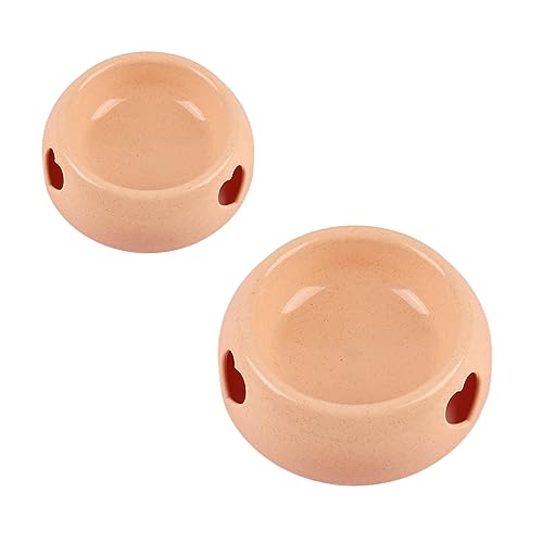 Nchdewui 2 Pièces Gamelle Chat, Gamelle Pour Chien Et Chat, BOL Chat Pour la Nourriture et L'eau Pour Petit Gros Chats (Orange) von Nchdewui