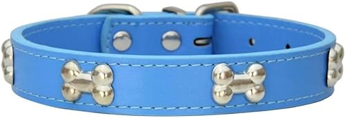 Hundehalsband aus echtem Leder, mit Metallknochen, sicher und bequem, verstellbare Größe, für kleine und mittelgroße Hunde (2,5 x 50 cm, Blau) von NeBaee