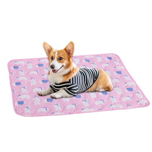 Neamou Kühlmatte für Hunde, Kühlmatte für Haustiere, wasserdichte Hunde-Kühlmatte aus Netzstoff, Staubdichtes, multifunktionales Kühlzubehör für Haustiere, Sommerzubehör für Welpen, Katzen, Kätzchen Neamou Kühlmatte für Hunde, Kühlmatte für Haustiere, wasserdichte Hunde-Kühlmatte aus Netzstoff, Staubdichtes, multifunktionales Kühlzubehör für Haustiere, Sommerzubehör für Welpen, Katzen, Kätzchen von Neamou