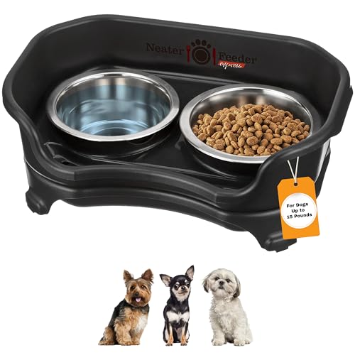 Neater Feeder Express – Erhöhte Hundenäpfe – Edelstahl-Futterstation für kleine Hunde (Kleiner Hund, Schwarz) von Neater Feeder