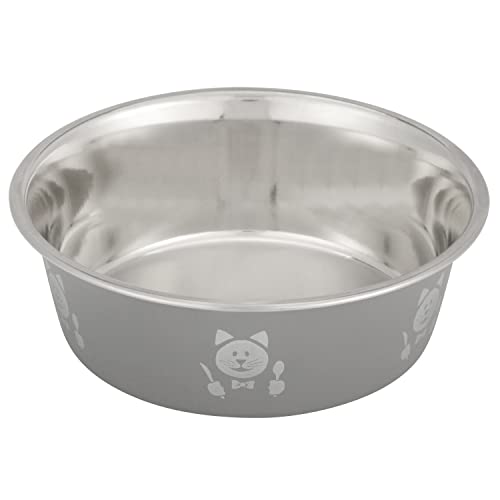 Hungry Cat Grey Bowl von Neater Pet Brands
