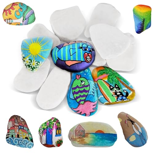 12 Stück Steine zum Bemalen, 5-8 cm Gemalter Kieselsteine Glatte, Kieselsteine zum Bemalen Strand Kiesel, Dekosteine Naturstein DIY Steine für Bunte Malerei, Dekoration Blumentöpfen und Aquarien von Necdeol
