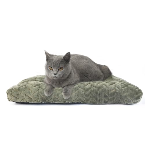 Katzenbett für Indoor-Katzen, waschbares Kissen für Käfige, 45,7 cm, kleines Hundebett, rutschfest, wasserdicht, wärmend, gemütlich, weich, für Welpen, Olivgrün Katzenbett für Indoor-Katzen, waschbares Kissen für Käfige, 45,7 cm, kleines Hundebett, rutschfest, wasserdicht, wärmend, gemütlich, weich, für Welpen, Olivgrün von Necesitar