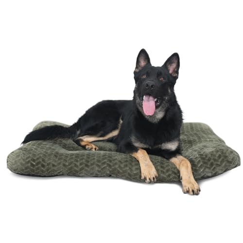Necesitar Großes Hundebett, 107,7 cm, waschbar, weich und flauschig, Hundematten für Käfige bis zu 40,8 kg, Haustierkissen für Kisten, Reifendruck, Olivgrün Necesitar Großes Hundebett, 107,7 cm, waschbar, weich und flauschig, Hundematten für Käfige bis zu 40,8 kg, Haustierkissen für Kisten, Reifendruck, Olivgrün von Necesitar
