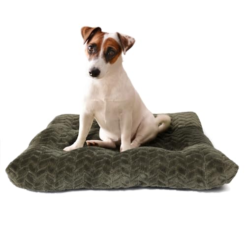 Necesitar Hundebett, 76,2 cm, für mittelgroße Hunde, waschbar, weich und bequem, mit rutschfestem, bequemem Schlafkissen, bis zu 18 kg, 76,2 x 48,2 cm, Olivgrün Necesitar Hundebett, 76,2 cm, für mittelgroße Hunde, waschbar, weich und bequem, mit rutschfestem, bequemem Schlafkissen, bis zu 18 kg, 76,2 x 48,2 cm, Olivgrün von Necesitar