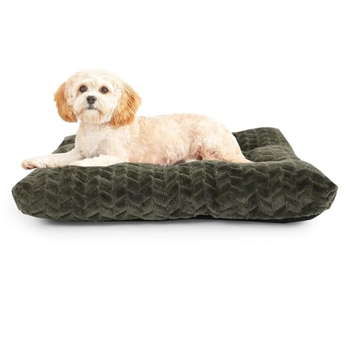 Necesitar Hundebett für kleine Hunde, waschbar, passend für 61 cm große Käfige oder Käfige, mit rutschfestem Haustierkissen, für bis zu 11,3 kg, für Welpen und Katzen, 61 x 45 cm, Olivgrün Necesitar Hundebett für kleine Hunde, waschbar, passend für 61 cm große Käfige oder Käfige, mit rutschfestem Haustierkissen, für bis zu 11,3 kg, für Welpen und Katzen, 61 x 45 cm, Olivgrün von Necesitar