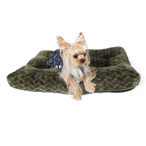 Necesitar Welpenbett für kleine Hunde, waschbar, ultraweich, für 55,9 cm Käfige mit rutschfestem, gemütlichem, weichem Schlafkissen, bis zu 6,8 kg, 55,9 x 33 cm, Olivgrün Necesitar Welpenbett für kleine Hunde, waschbar, ultraweich, für 55,9 cm Käfige mit rutschfestem, gemütlichem, weichem Schlafkissen, bis zu 6,8 kg, 55,9 x 33 cm, Olivgrün von Necesitar