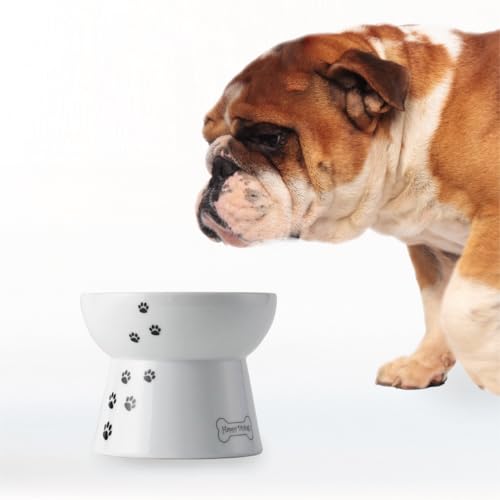 Necoichi Erhöhter Futternapf für Hunde, 0,47 kg von Necoichi