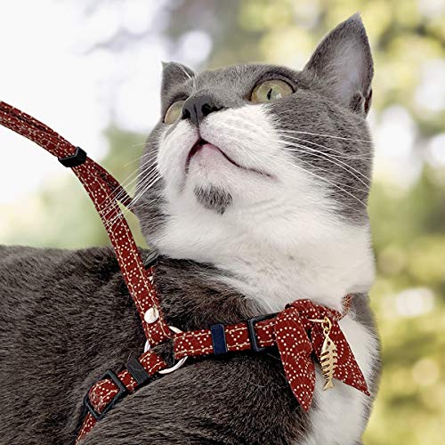Necoichi Katzengeschirr und Leine, Zen Fish Charm, rot von Necoichi