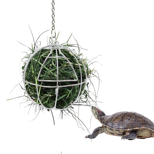 11,9 cm Schildkröten-Leckerli-Ball Spielzeug, hängende Schildkröte Edelstahl Heu-Futterball Kleintiergras Obst Gemüse Feeder Halter Geeignet für Schildkröte Schildkröte Meerschweinchen Hamster Ratte 11,9 cm Schildkröten-Leckerli-Ball Spielzeug, hängende Schildkröte Edelstahl Heu-Futterball Kleintiergras Obst Gemüse Feeder Halter Geeignet für Schildkröte Schildkröte Meerschweinchen Hamster Ratte von Neeenn