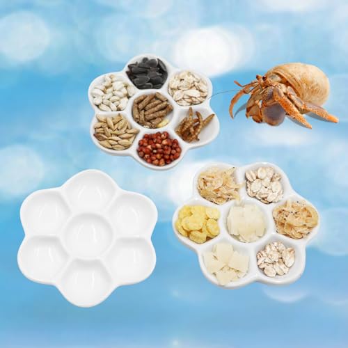 3 Stück Einsiedlerkrebs Keramik Futterschale Einsiedlerkrebs Futter & Wasser Schüssel Mini Food Dish Kit Geeignet für Einsiedlerkrebs Tarantel Schnecke 3 Stück Einsiedlerkrebs Keramik Futterschale Einsiedlerkrebs Futter & Wasser Schüssel Mini Food Dish Kit Geeignet für Einsiedlerkrebs Tarantel Schnecke von Neeenn