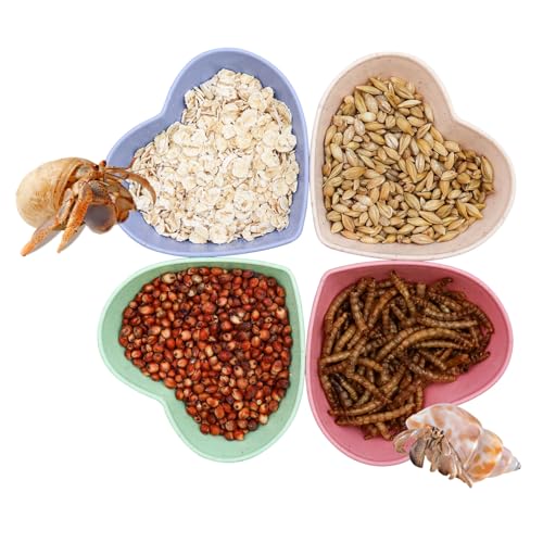 4 Stück Einsiedlerkrebs Kunststoff Futterschale Einsiedlerkrebs Futter & Wasser Schüssel Mini Food Dish Kit Geeignet für Einsiedlerkrebs Tarantel Schnecke 4 Stück Einsiedlerkrebs Kunststoff Futterschale Einsiedlerkrebs Futter & Wasser Schüssel Mini Food Dish Kit Geeignet für Einsiedlerkrebs Tarantel Schnecke von Neeenn