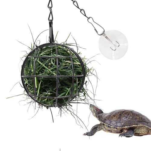 7,9 cm Schildkröte Leckerli Ball Spielzeug Hängende Schildkröte Edelstahl Heu-Futterball Kleintier Gras Obst Gemüse Futterspender Halter Geeignet für Schildkröte Schildkröte Meerschweinchen Hamster 7,9 cm Schildkröte Leckerli Ball Spielzeug Hängende Schildkröte Edelstahl Heu-Futterball Kleintier Gras Obst Gemüse Futterspender Halter Geeignet für Schildkröte Schildkröte Meerschweinchen Hamster von Neeenn