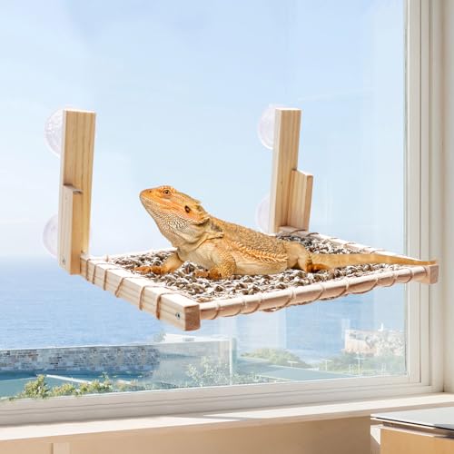 Bartagamen-Hängematte, Eidechsen-Fenstersitzstange, Holz-Reptilienbett mit Seegras-Matte, Reptilien-Tankzubehör, geeignet für Eidechse, Bartagamäleon, Kätzchen, Meerschweinchen, Ratte, 30,5 x 27,9 cm von Neeenn